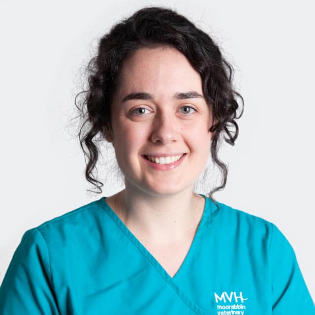 Dr Aoibheann Clarke - Veterinarian at Moorabbin Veterinary Hospital in Hampton East, VIC 3188