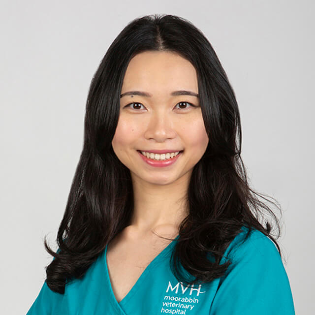 Dr Jenibelle Wang - Veterinarian at Moorabbin Veterinary Hospital in Hampton East, VIC 3188