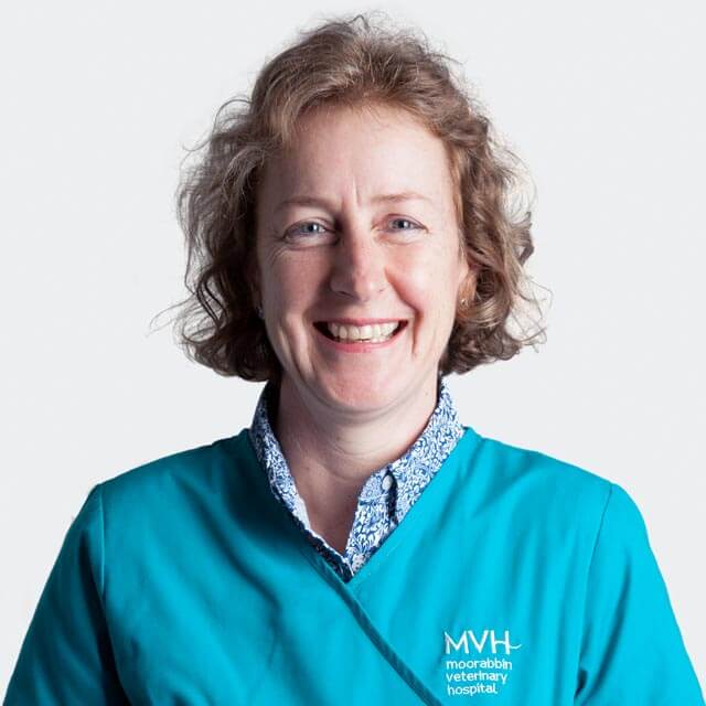 Dr Jenny Wilsher - Veterinarian at Moorabbin Veterinary Hospital in Hampton East, VIC 3188