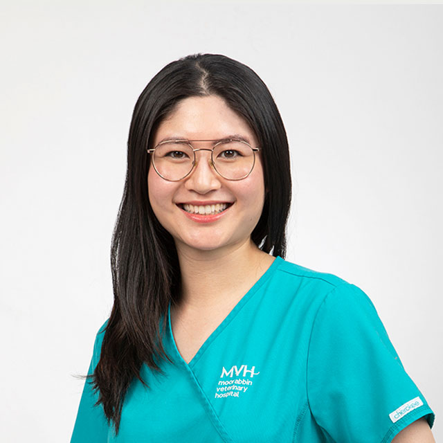 Dr Angel Chu - Veterinarian at Moorabbin Veterinary Hospital