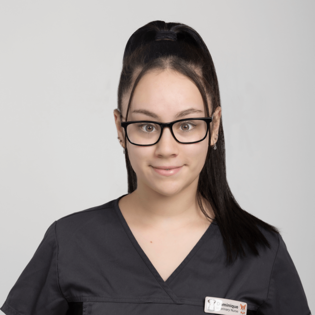 Domi Moorabbin Vet nurse