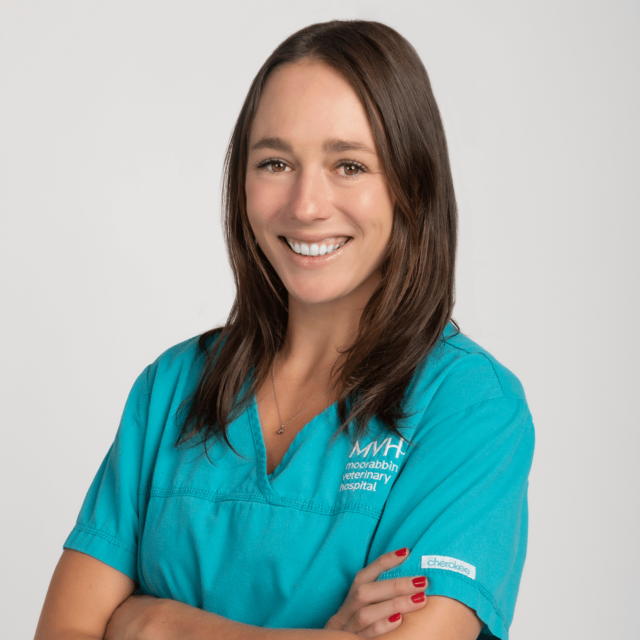 Dr Brooke Moorabbin Vet