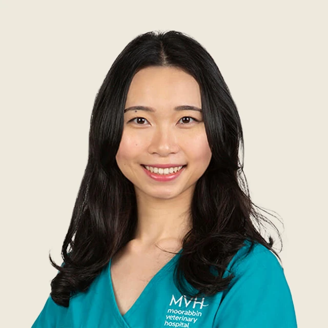 Dr Jenibelle Wang - Veterinarian at Moorabbin Veterinary Hospital in Bayside Suburbs of Melbourne, VIC