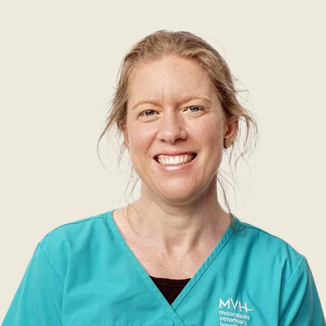 Dr Sarah Park - Veterinarian at Moorabbin Veterinary Hospital in Bayside Suburbs of Melbourne, VIC
