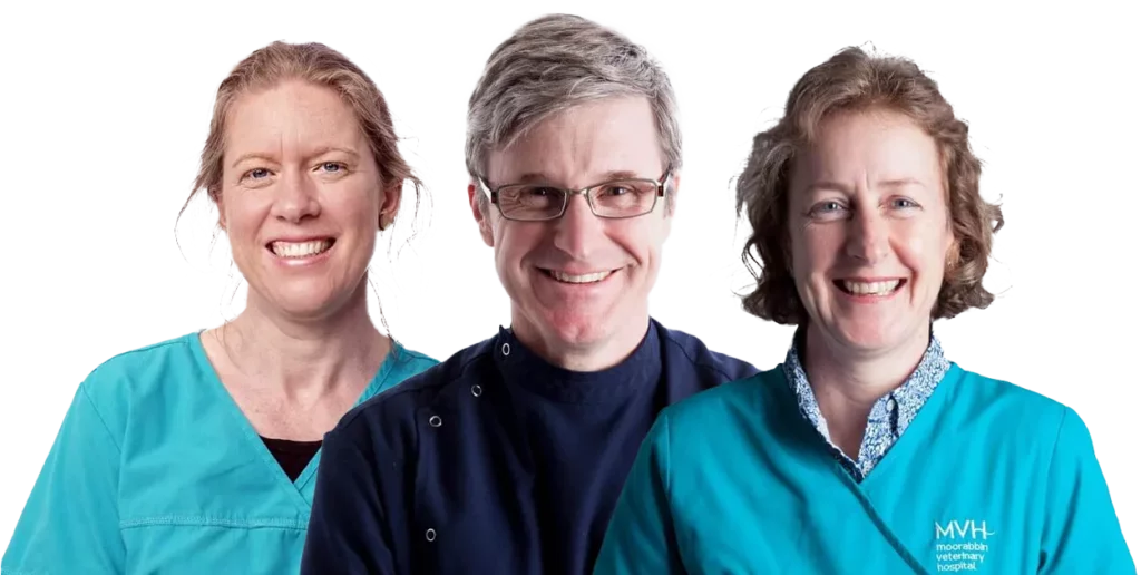 Veterinarians at Moorabbin Vetinary Clinic in Bayside Suburbs of Victoria