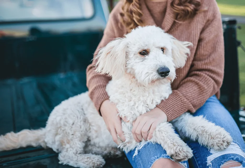 Pet Diagnostic Testing Explained