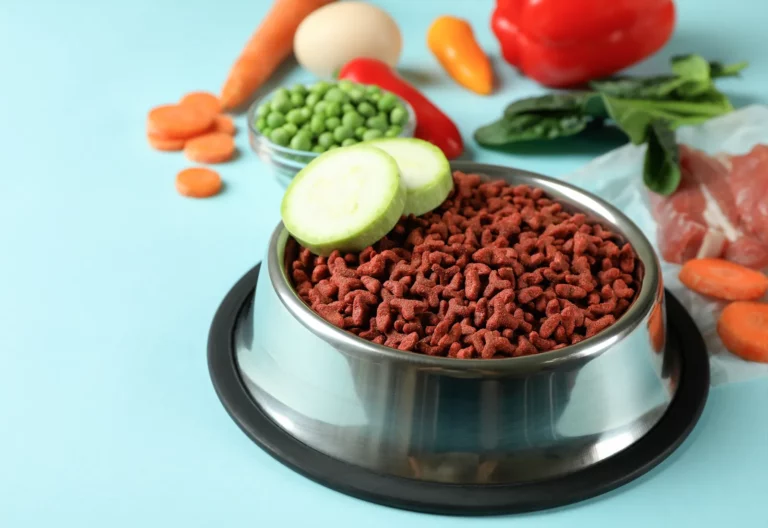 Pet Food and Prescription Diets