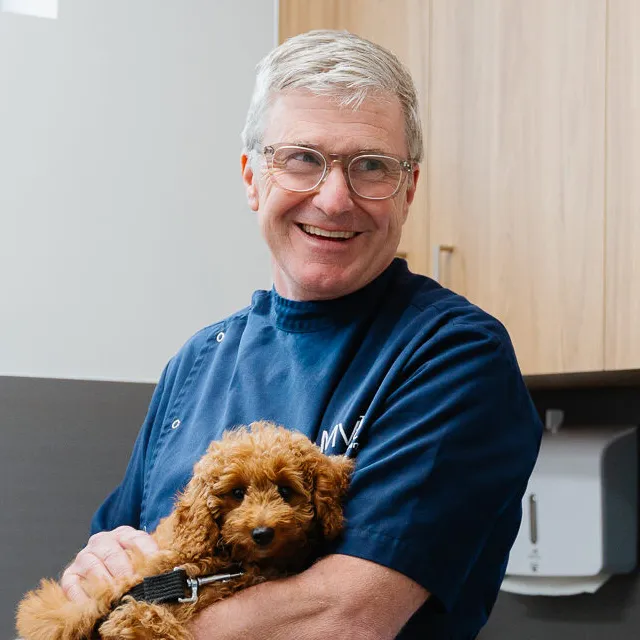 Dr John Ley - Veterinarian and Moorabbin Veterinary Hospital