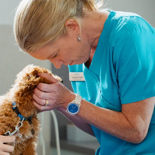 Dr Sarah Park - Veterinarian and Moorabbin Veterinary Hospital