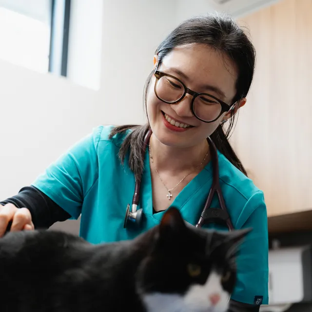 Dr Xeni Pan - Veterinarian and Moorabbin Veterinary Hospital