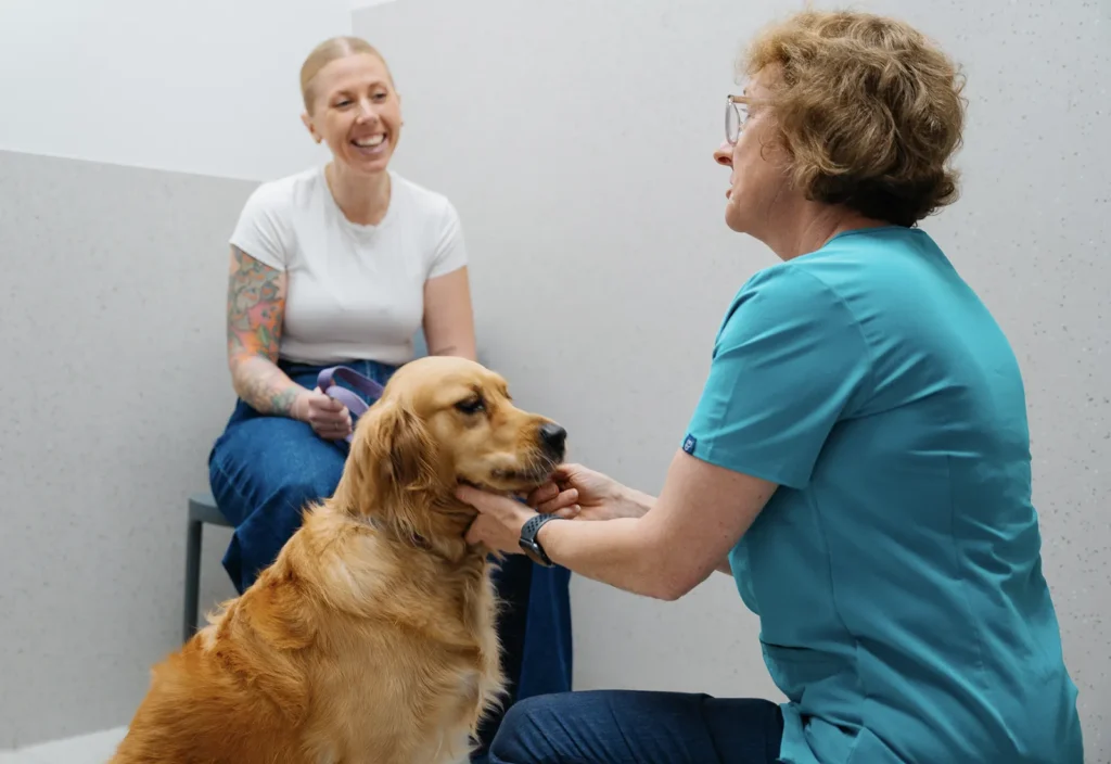 Senior Pets Bi-Annual Visit Checkup Services at Moorabbin Veterinary Hospital in Bayside