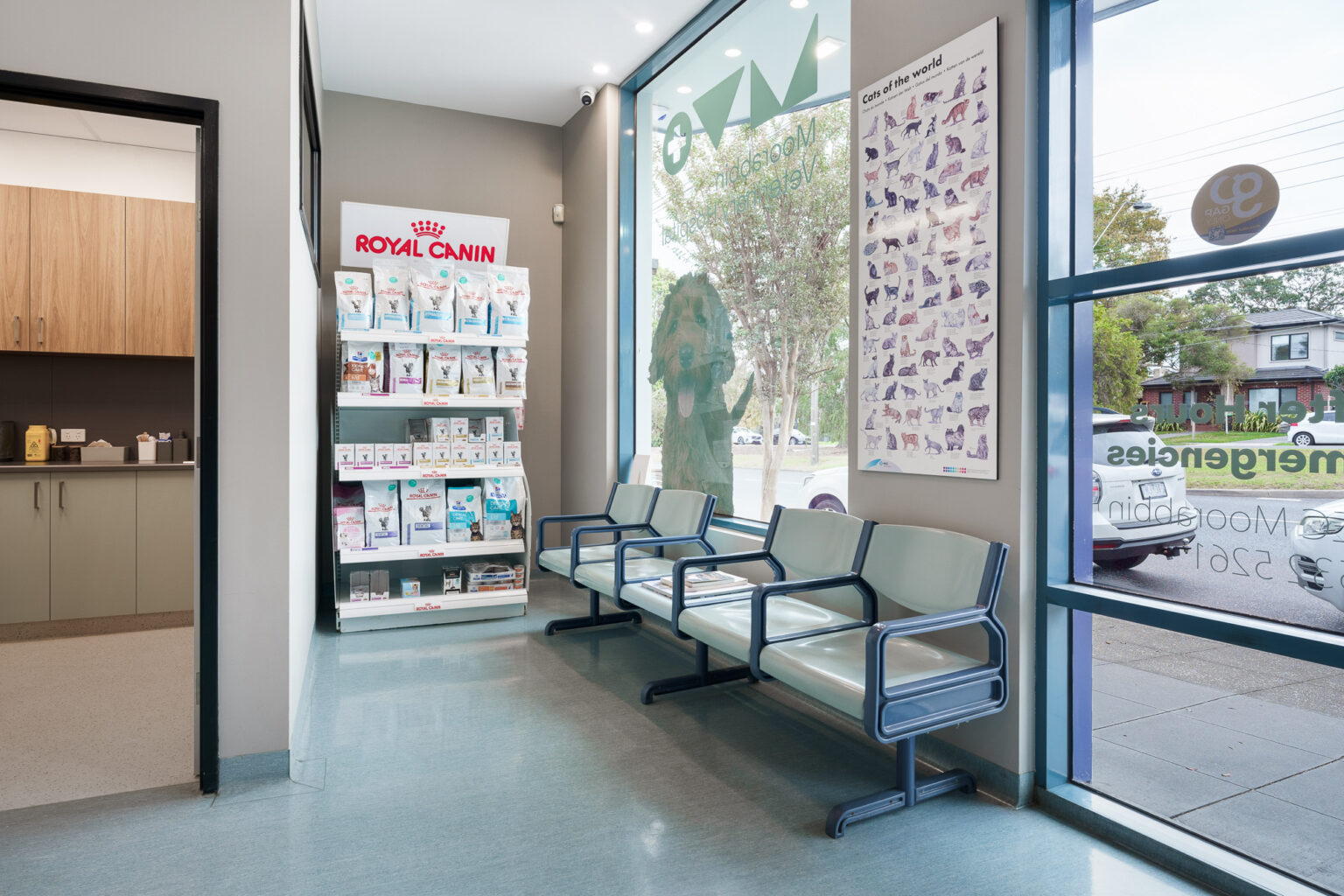 Moorabbin Vet Clinic-246