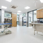 Moorabbin Vet Clinic-266