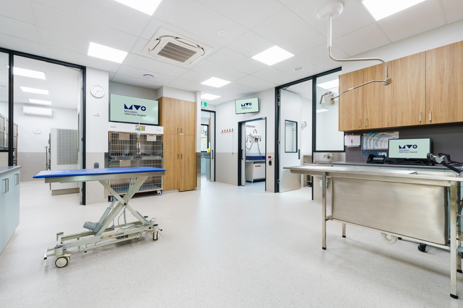 Moorabbin Vet Clinic-266