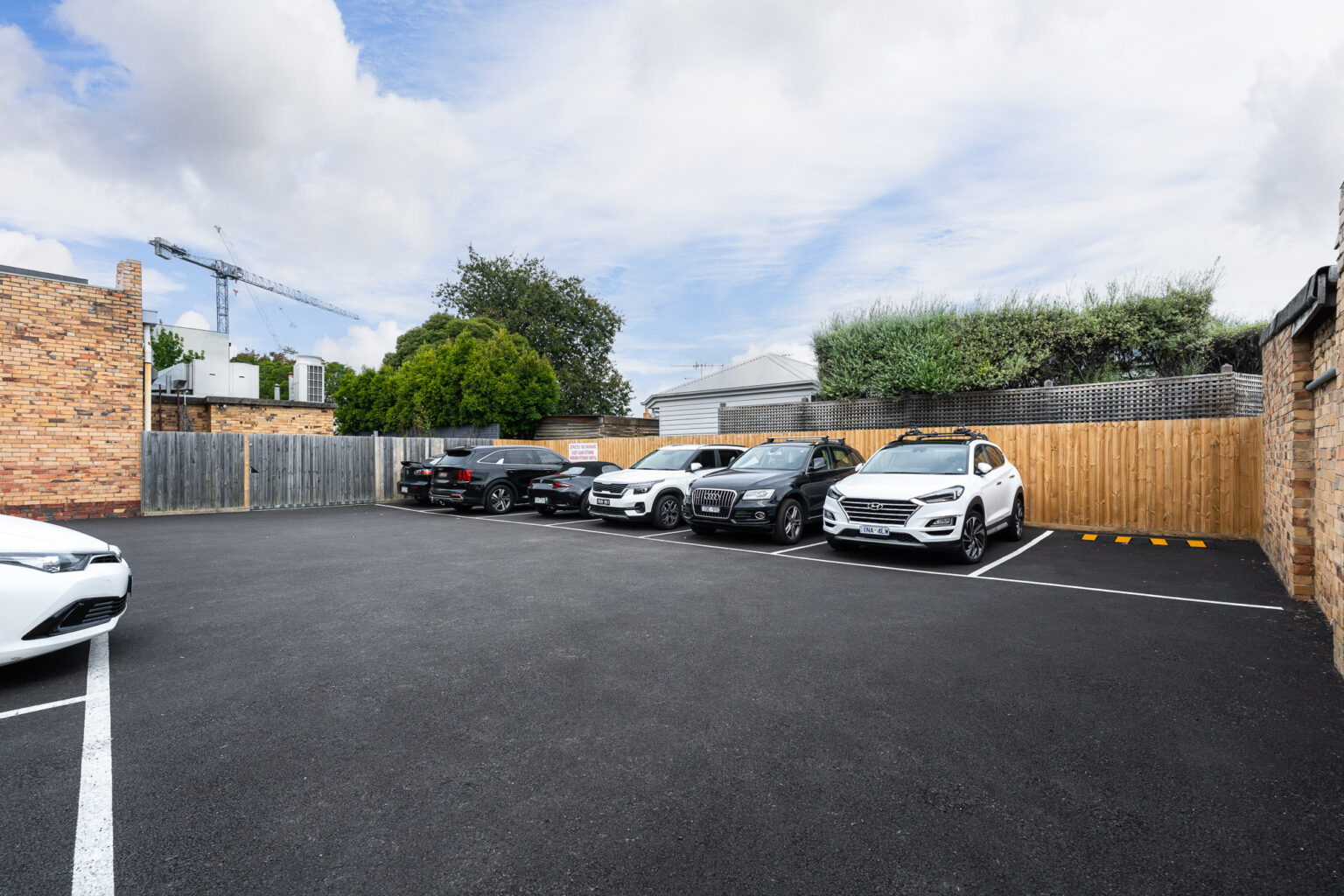 Moorabbin Vet Clinic-281