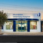 Moorabbin Vet Clinic-297