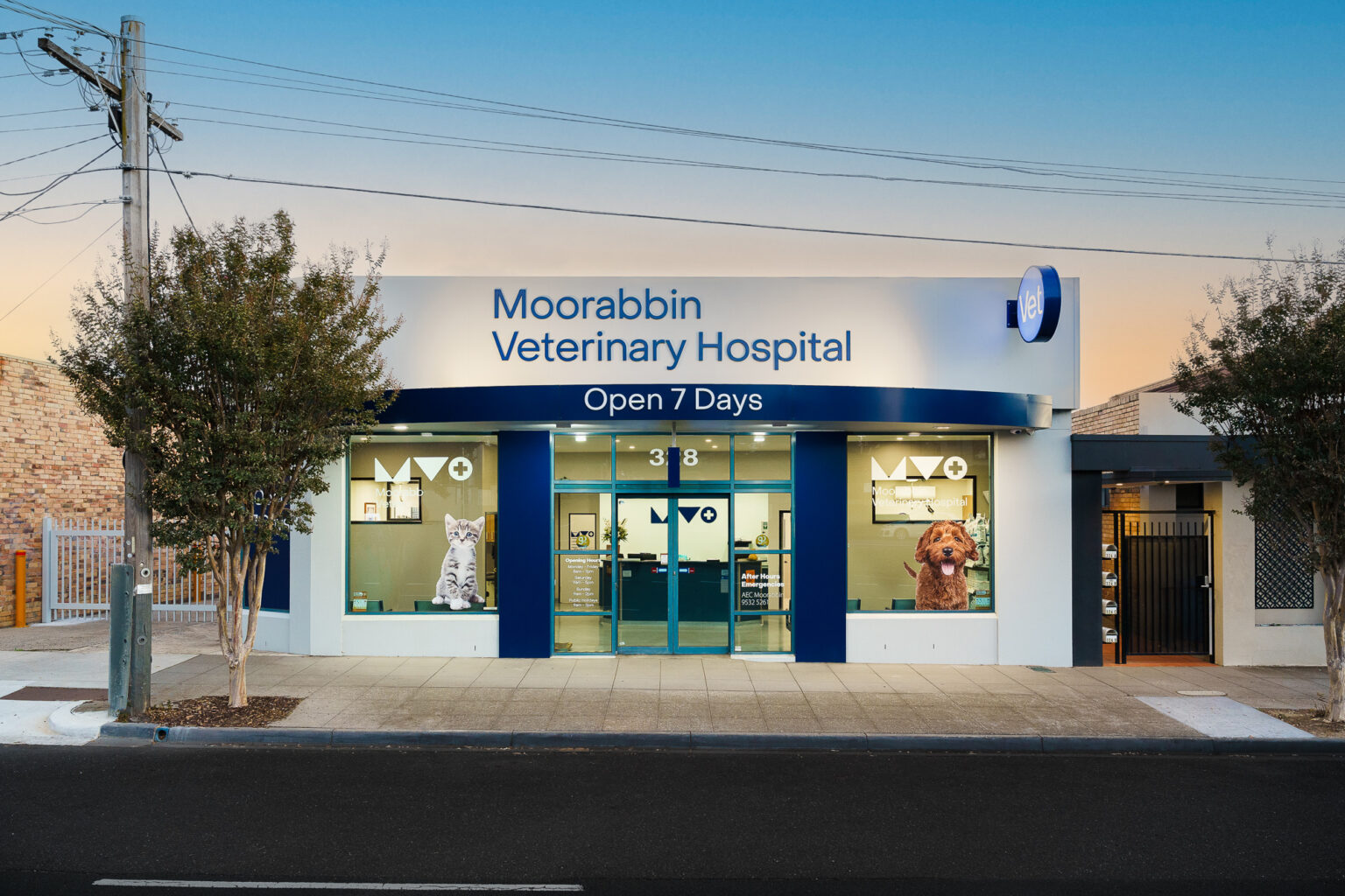 Moorabbin Vet Clinic-297