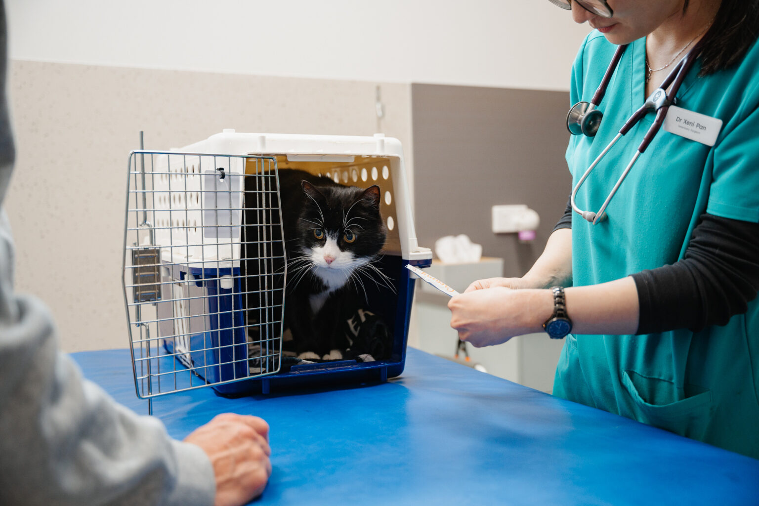 Moorabbin Vet Clinic-32