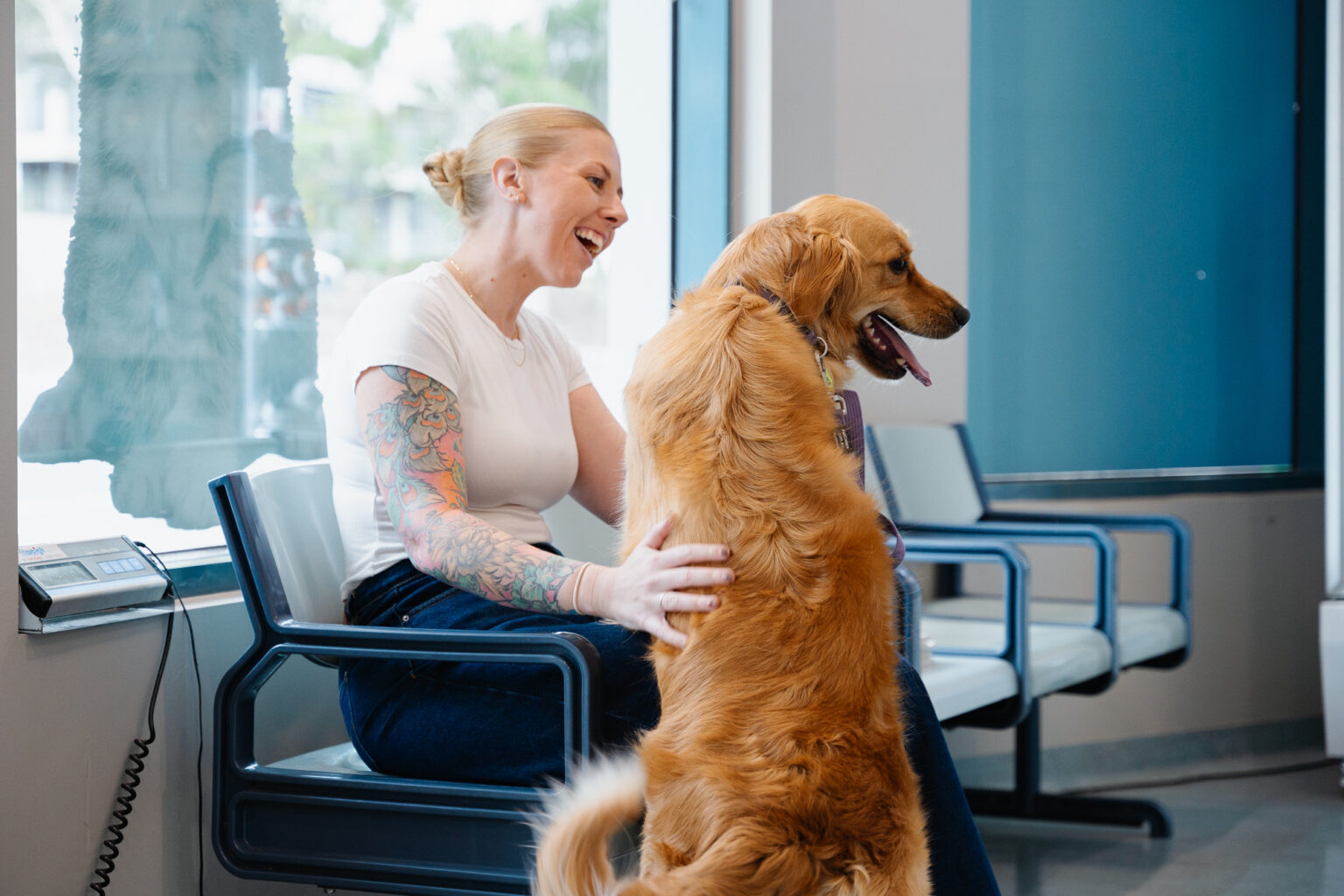 Moorabbin Vet Clinic-62