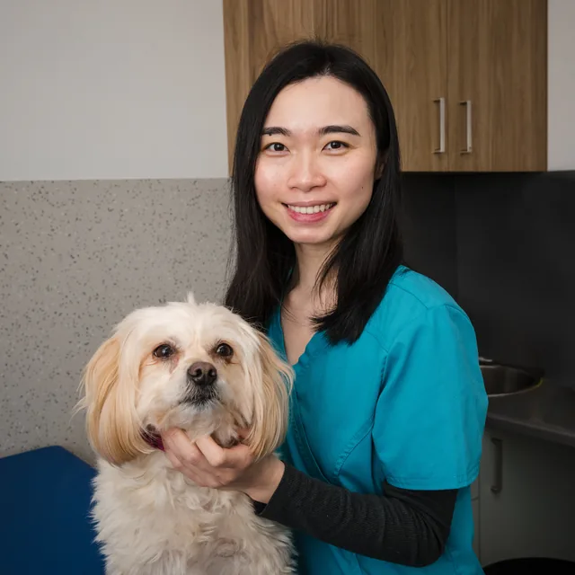 Dr Jenibelle Wang - Veterinarian at Moorabbin Veterinary Hospital in Bayside Suburbs of Melbourne, VIC