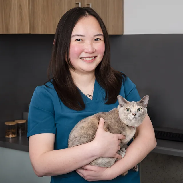 Dr Kelene Phoa - Veterinarian at Moorabbin Veterinary Hospital in Bayside Suburbs of Melbourne, VIC