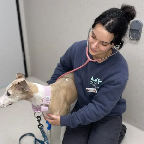 Christina - Veterinary Nurse at Moorabbin Veterinary Hospital