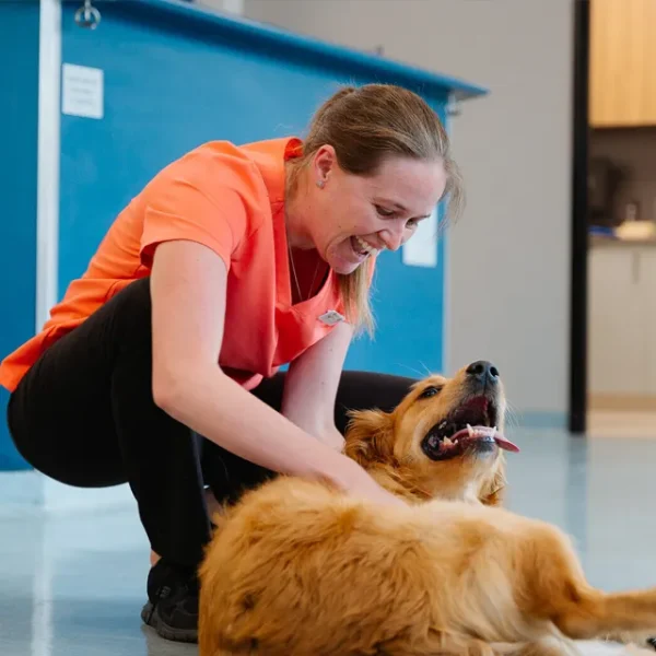 Jenny Veterinary Reception and Client Care at Moorabbin Veterinary Hospital